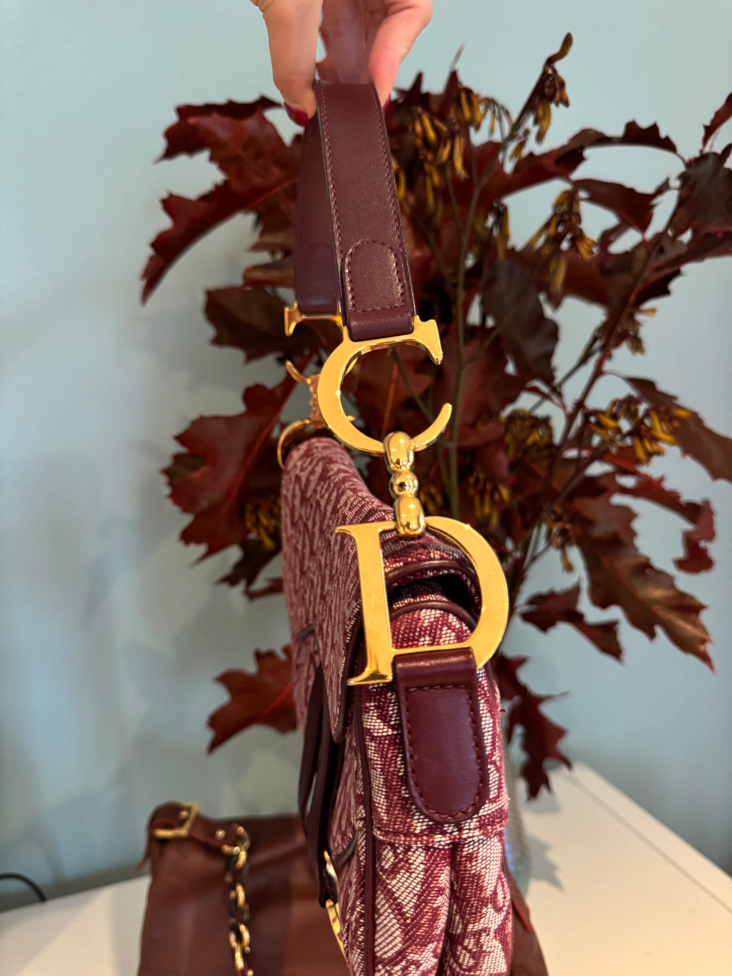 Dior double saddle bag in burgundy red 