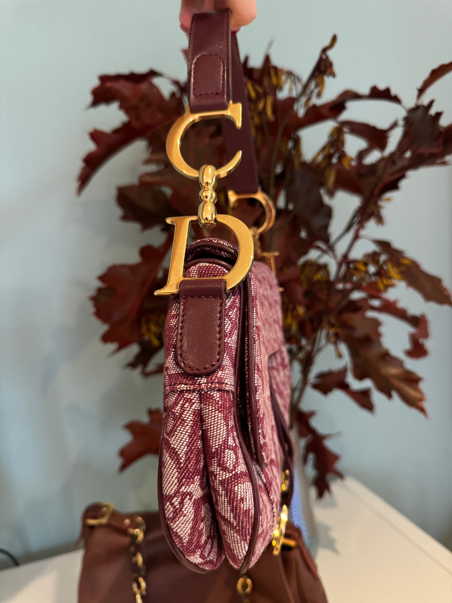 Dior double saddle bag in burgundy red 