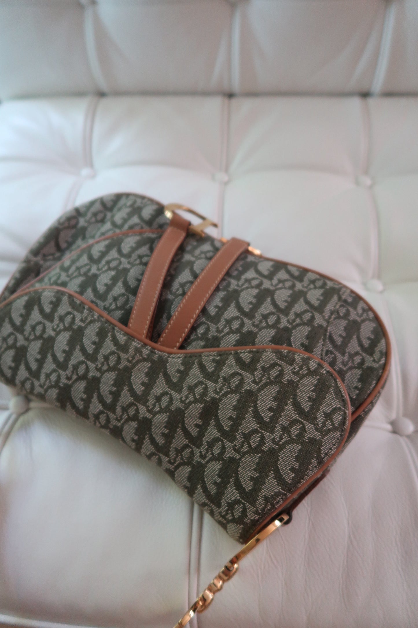 Dior Double Saddle in rare green monogram
