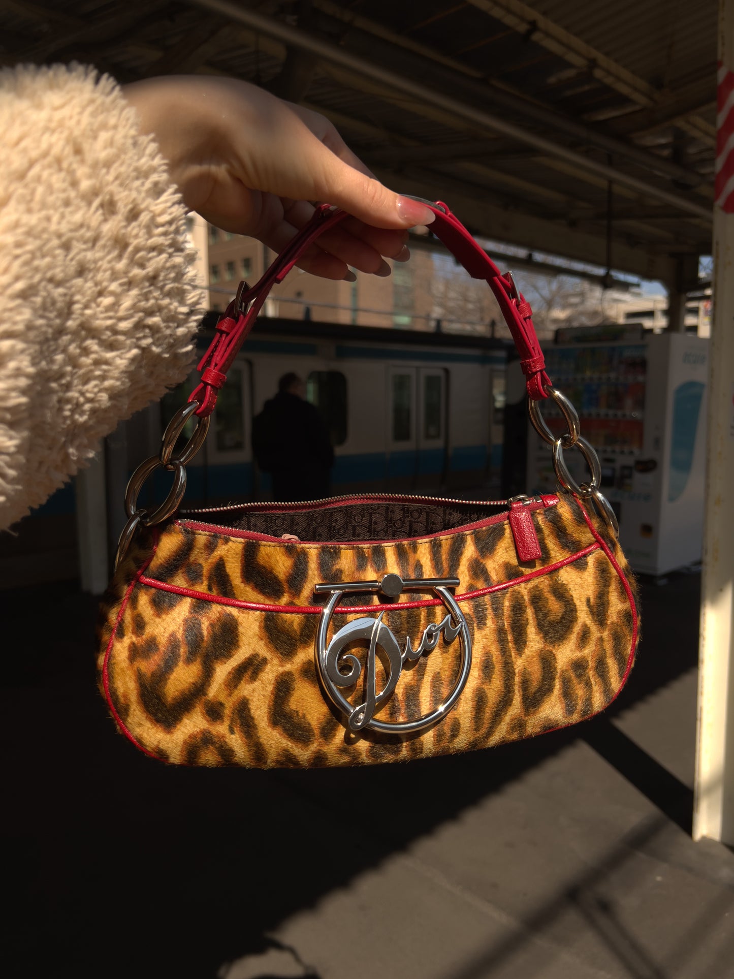 Dior pony hair Brown Diva shoulder bag