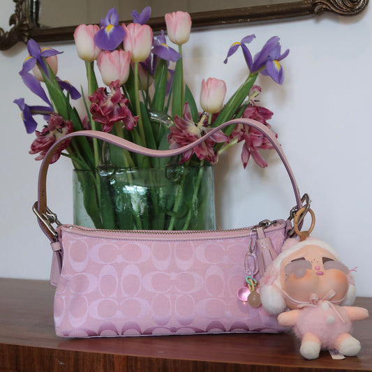 Y2K coach vintage shoulder bag