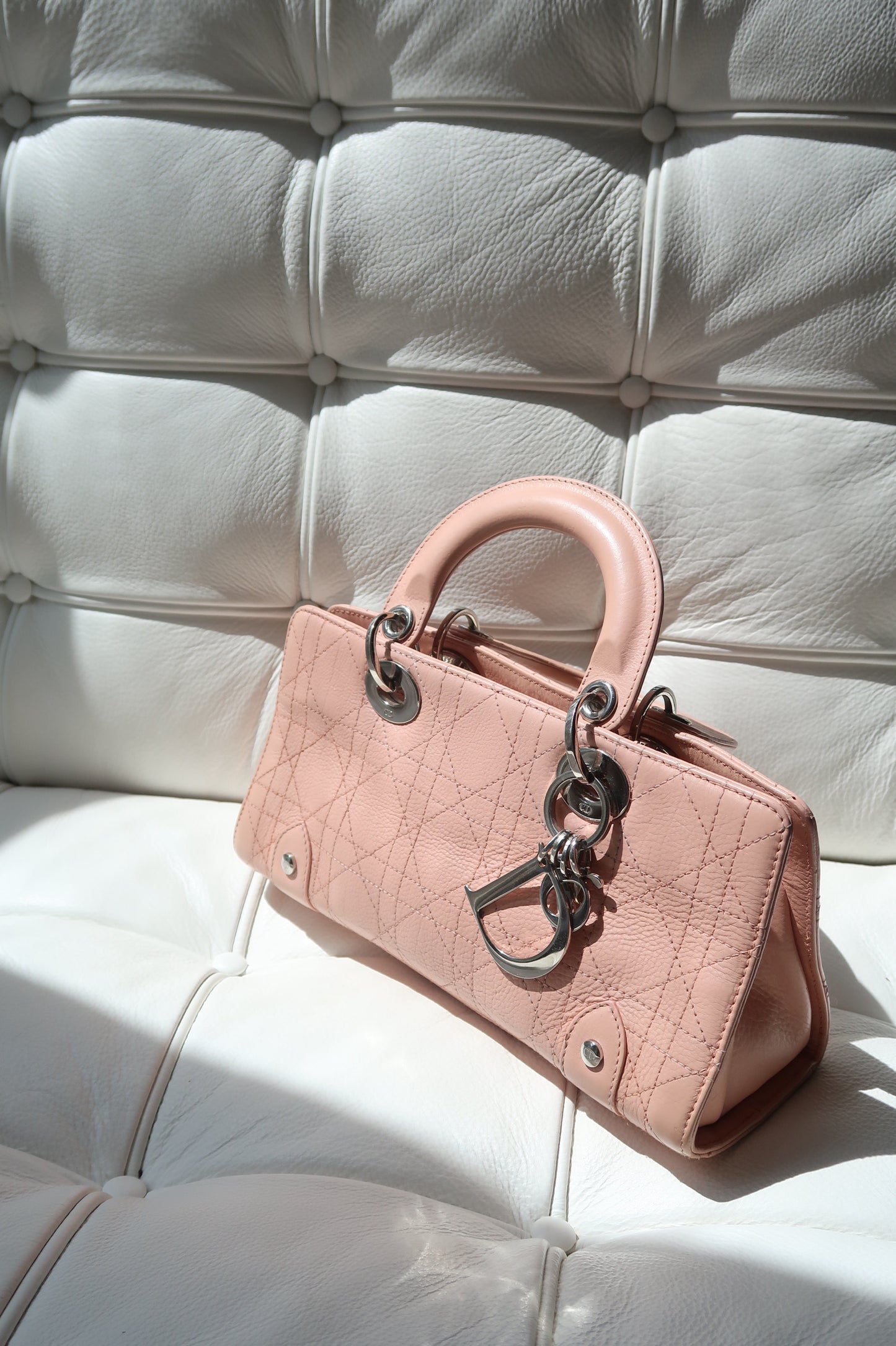 Dior East West Bag